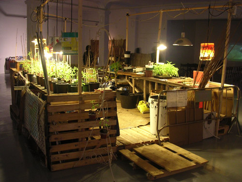Model Farm - 2