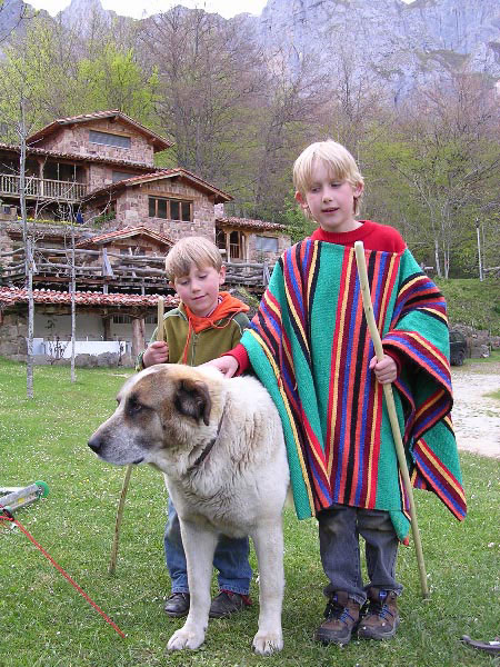 F, M & Bear Dog