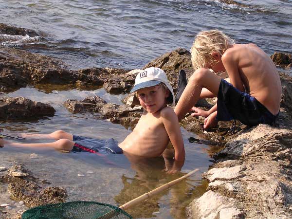 cool in rock pools