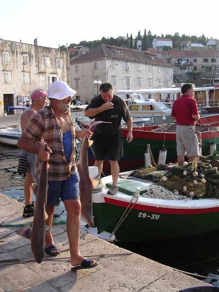 return of the fishermen