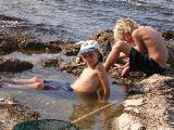 cool in rock pools