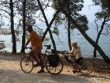 island transport