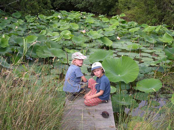 a secret pond