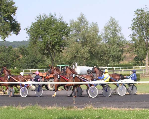 at the races