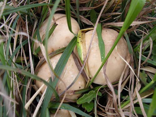 17-04_2