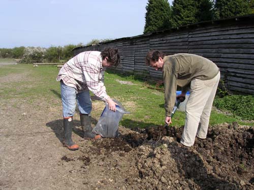 Cultivation 1 - 04