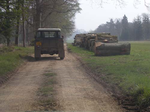 Cultivation 1 - 08