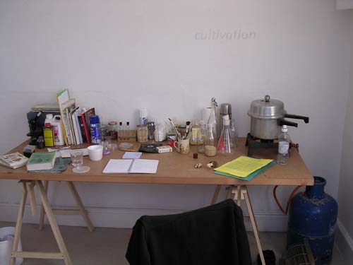 Cultivation 1 - 09