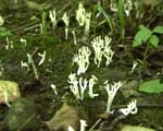 Late August - 08